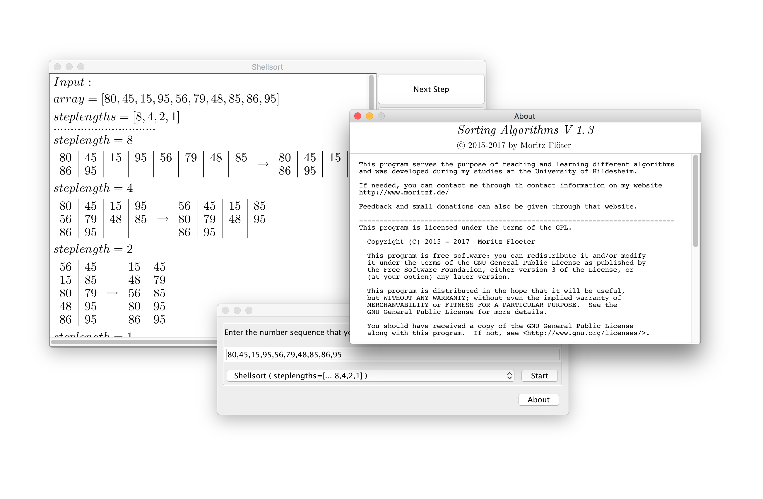 screenshot of the sorting algorithms software program